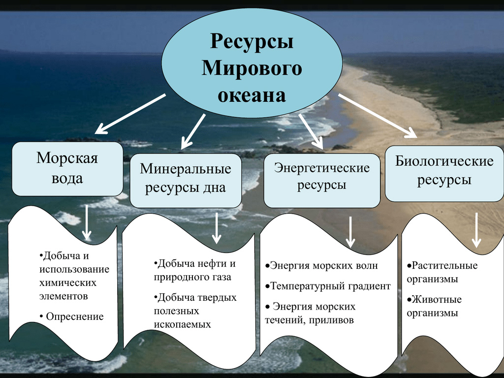 Ресурсы Мирового океана с объектами исследования