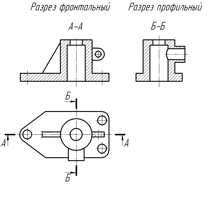 Разрез фронтальный и профильный