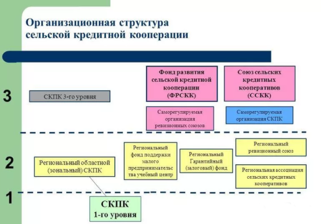 Организационная структура сельскохозяйственной кредитной кооперации. Автор24 — интернет-биржа студенческих работ