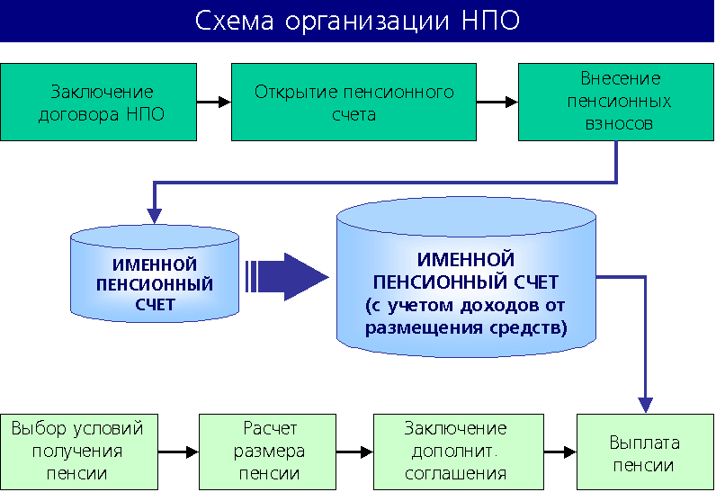 Схема организации НПО. Автор24 — интернет-биржа студенческих работ